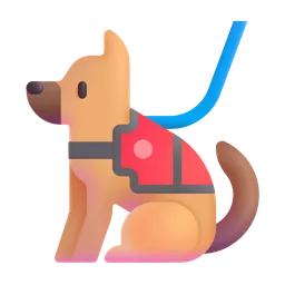 service dog