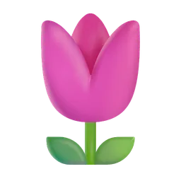 tulip