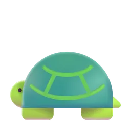 turtle