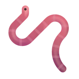 worm