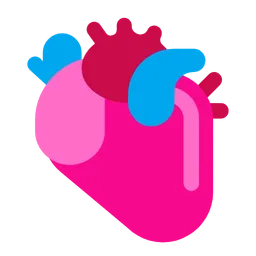 anatomical heart