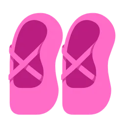 ballet shoes