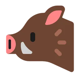 boar