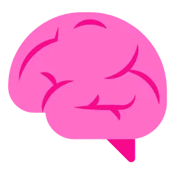 brain