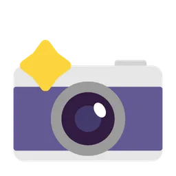 camera with flash