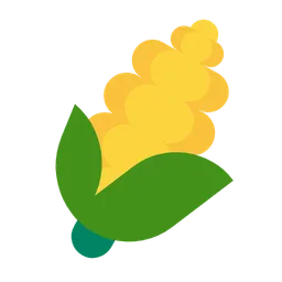 ear of corn