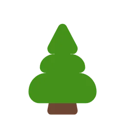 evergreen tree