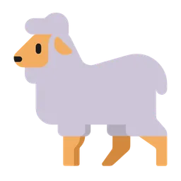 ewe
