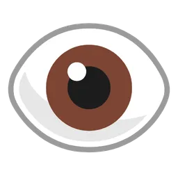eye