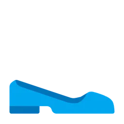 flat shoe