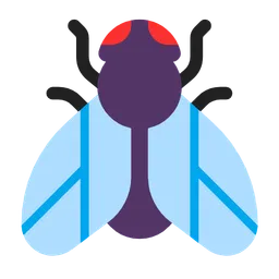 fly