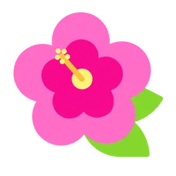 hibiscus