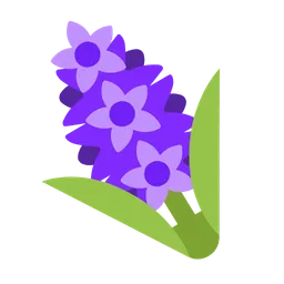 hyacinth
