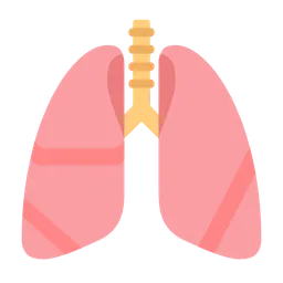 lungs