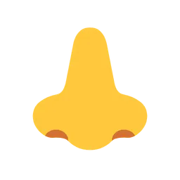 nose
