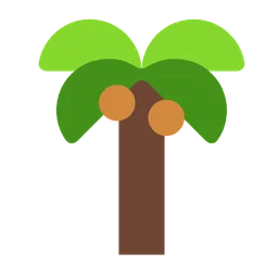 palm tree