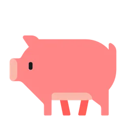 pig