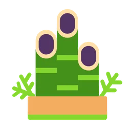 pine decoration
