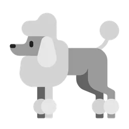 poodle