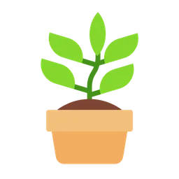 potted plant