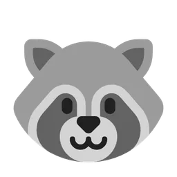 raccoon