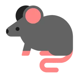 rat