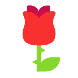 rose