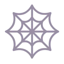 spider web