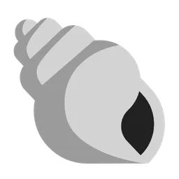 spiral shell