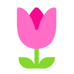tulip