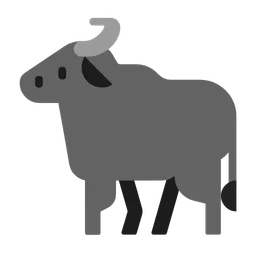 water buffalo