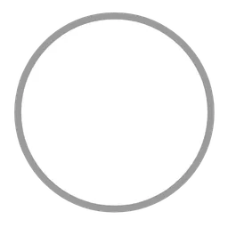 white circle