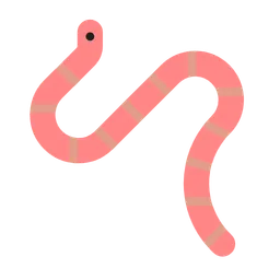 worm
