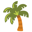 palm tree