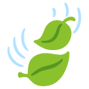 leaf fluttering in wind