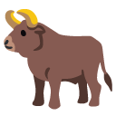 ox