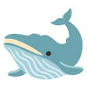 whale