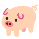 pig