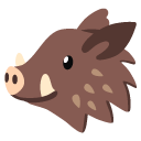 boar
