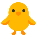 front-facing baby chick