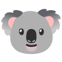 koala