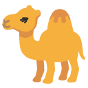 camel