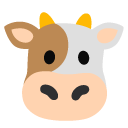 cow face