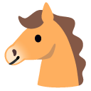 horse face