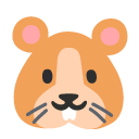 hamster
