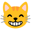 grinning cat with smiling eyes
