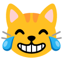 cat with tears of joy