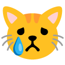 crying cat