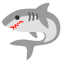 shark