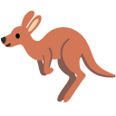 kangaroo